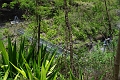 Cirque de Mafate 'Cayenne - Ilet des Lataniers' (56)